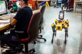 Four-legged robots